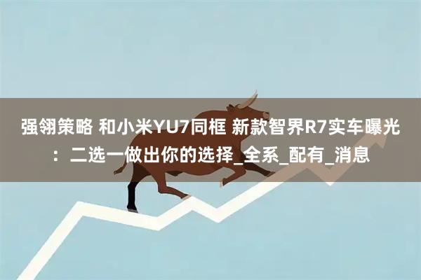 强翎策略 和小米YU7同框 新款智界R7实车曝光：二选一做出你的选择_全系_配有_消息