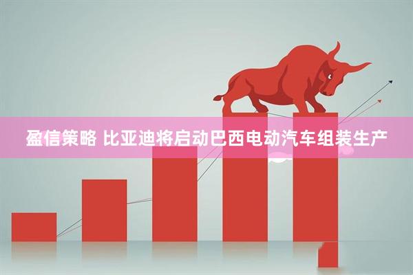 盈信策略 比亚迪将启动巴西电动汽车组装生产